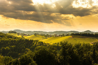 Scenic view of landscape against sky during sunset