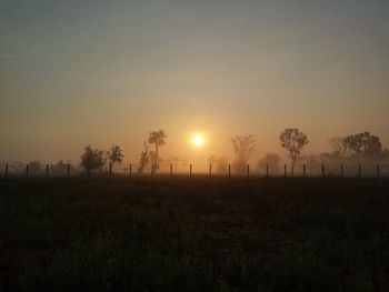 Scenic view of field against sky during sunset