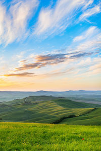 Scenic view of field against sky during sunset