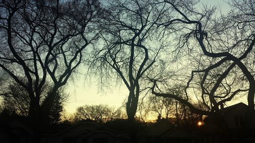 Low angle view of bare trees against sky at sunset