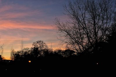 Silhouette trees against sky at sunset