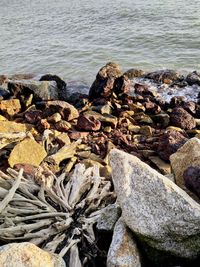 High angle view of rocks on beach