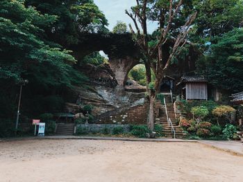 Man standing by trees on plants