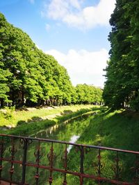 Scenic view of lake by trees against sky