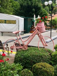 Potted plants on bicycle in yard