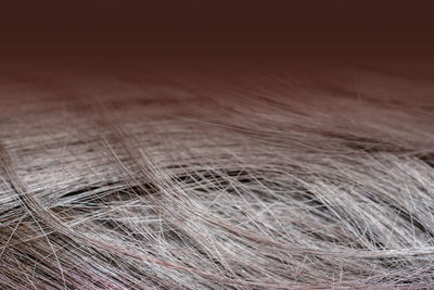 Full frame shot of crop