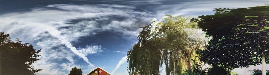 Low angle view of trees against cloudy sky