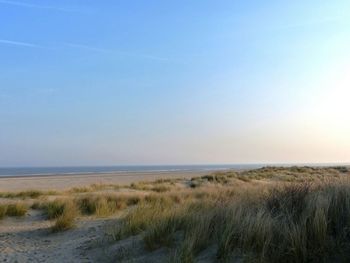 Scenic view of sea against clear sky