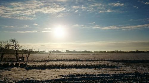 Scenic view of field against sky