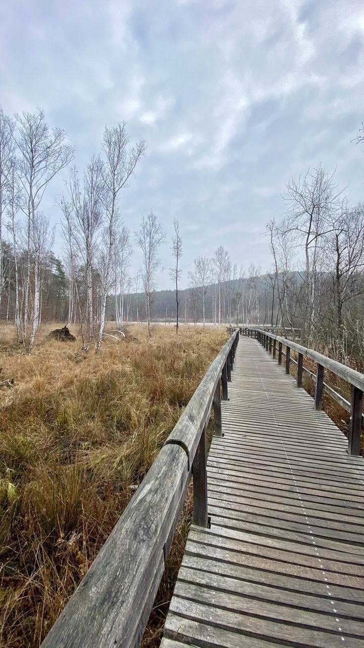 BOARDWALK AMIDST TREES AGAINST SKY