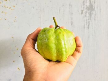 Close-up of hand holding guava