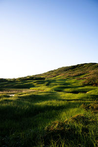 Scenic view of field against clear sky