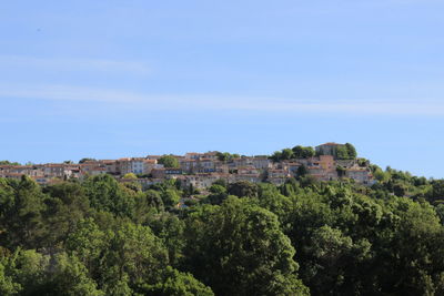 Trees and buildings against sky