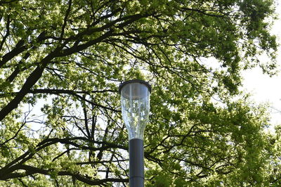 Low angle view of street light against trees