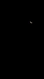 Silhouette bird flying against moon at night