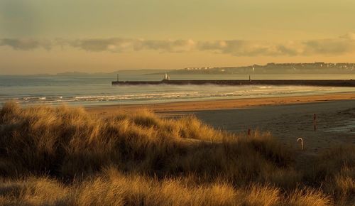 Scenic view of beach against sky during sunset