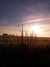 Scenic view of field against sky at sunset