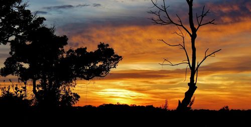 Silhouette of bare tree against cloudy sky