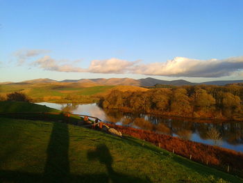 Scenic view of agricultural landscape against sky