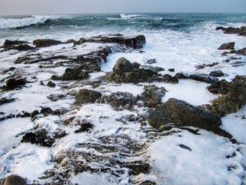 Scenic view of rocky beach