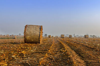 Hay bales on field against clear sky