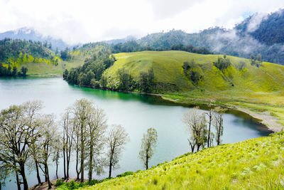 Scenic view of river by trees against sky