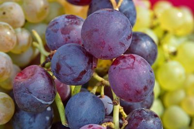 Full frame shot of grapes