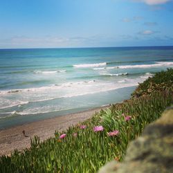 Scenic view of sea against clear sky