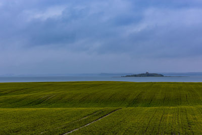 Scenic view of field against sky