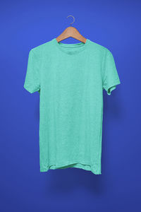 Close-up of green hanging against blue wall