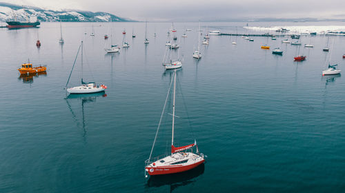 High angle view of sailboats in sea