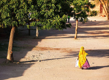 High angle view of woman in sari walking on pathway by trees during sunny day