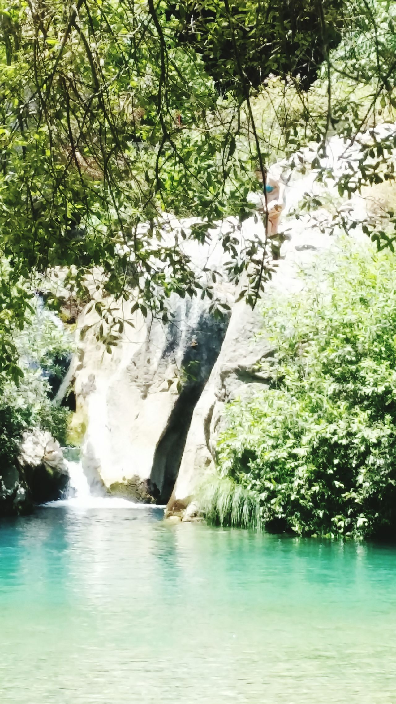 Cueva del Gato, Benaoján, 