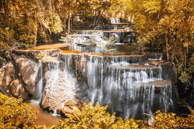 Scenic view of lake in forest