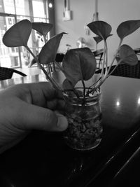 Close-up of flower vase on table