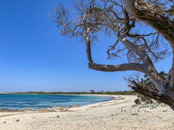 Scenic view of sea against clear blue sky