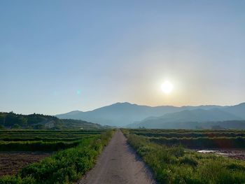 Road amidst field against sky