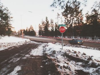 Road by trees against sky during winter