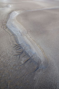 High angle view of sandy beach