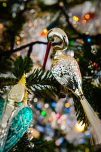 Close-up of christmas decoration