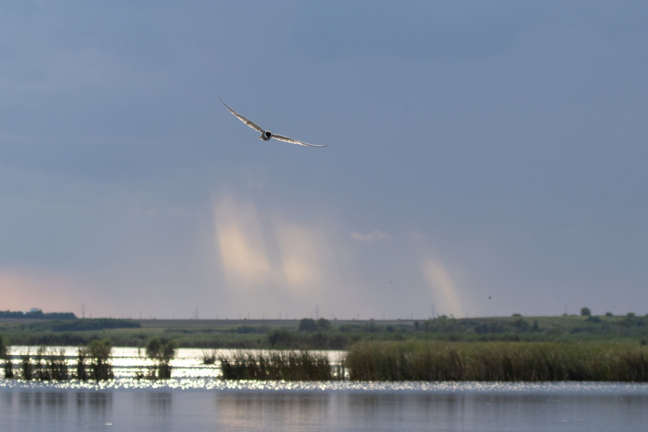 AIRPLANE FLYING ABOVE LAKE