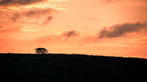 Silhouette trees on field against sky during sunset