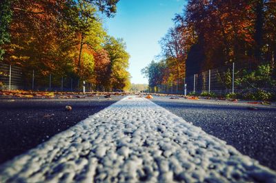 Road by trees against sky