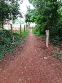 Road amidst trees against sky