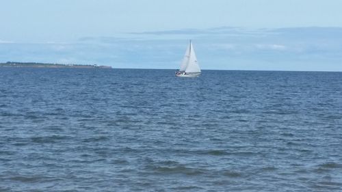 Boat sailing in sea