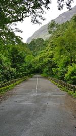 Empty road amidst trees against sky
