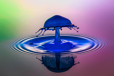 Close-up of water drop