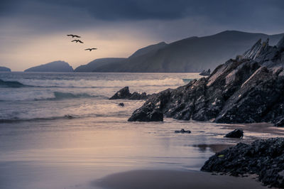 Birds flying over sea against sky