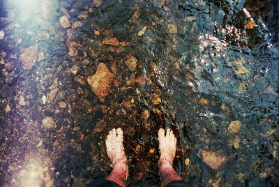 Low section of person standing in water