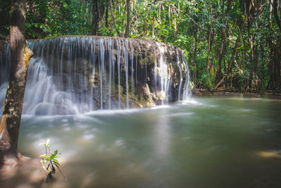 Waterfall in forest